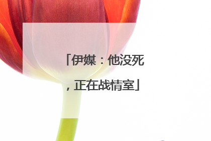 伊媒：他没死，正在战情室
