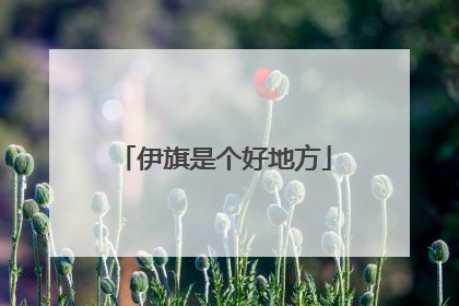 伊旗是个好地方