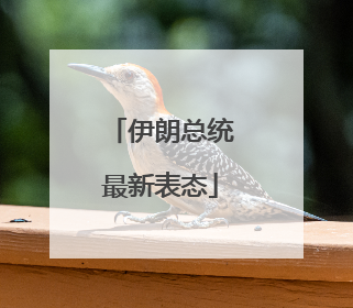 伊朗总统最新表态