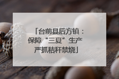台前县后方镇：保障“三夏”生产 严抓秸秆禁烧