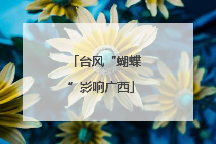 台风“蝴蝶”影响广西