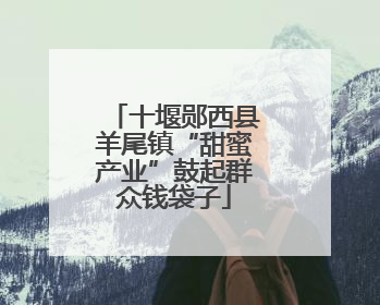十堰郧西县羊尾镇“甜蜜产业”鼓起群众钱袋子