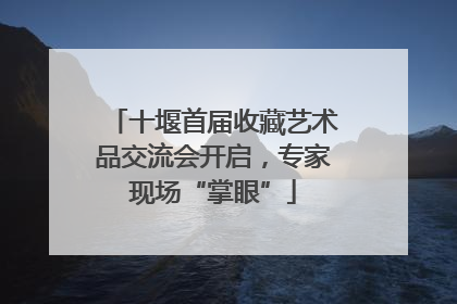 十堰首届收藏艺术品交流会开启，专家现场“掌眼”