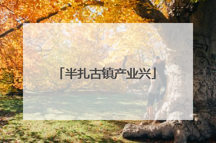 半扎古镇产业兴