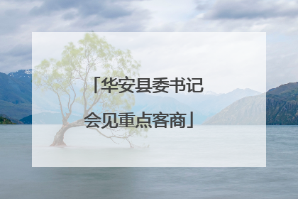 华安县委书记会见重点客商