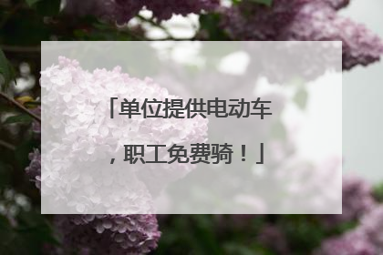 单位提供电动车，职工免费骑！