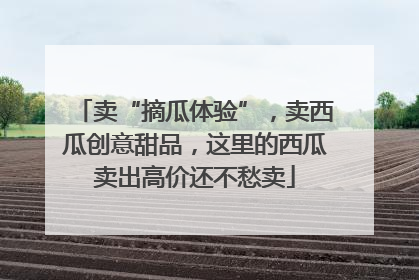 卖“摘瓜体验”，卖西瓜创意甜品，这里的西瓜卖出高价还不愁卖