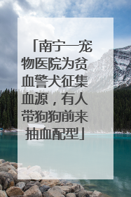 南宁一宠物医院为贫血警犬征集血源，有人带狗狗前来抽血配型