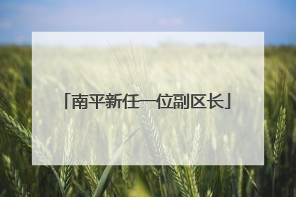 南平新任一位副区长