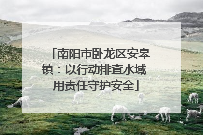 南阳市卧龙区安皋镇：以行动排查水域 用责任守护安全