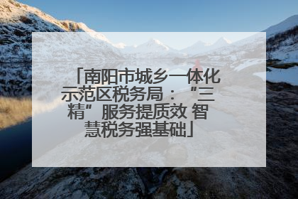 南阳市城乡一体化示范区税务局：“三精”服务提质效 智慧税务强基础
