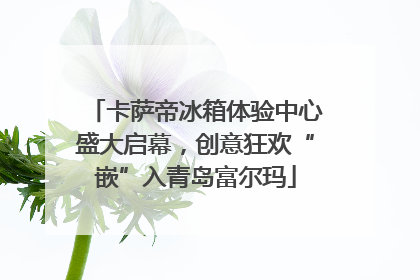 卡萨帝冰箱体验中心盛大启幕，创意狂欢“嵌”入青岛富尔玛