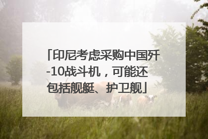 印尼考虑采购中国歼-10战斗机，可能还包括舰艇、护卫舰