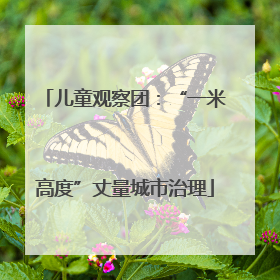 儿童观察团：“一米高度”丈量城市治理