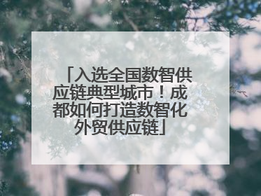 入选全国数智供应链典型城市！成都如何打造数智化外贸供应链