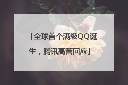 全球首个满级QQ诞生，腾讯高管回应