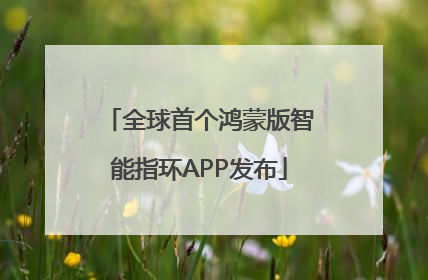 全球首个鸿蒙版智能指环APP发布
