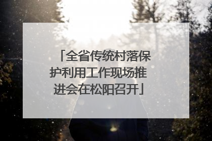 全省传统村落保护利用工作现场推进会在松阳召开