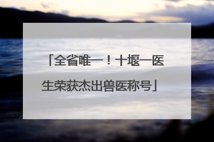 全省唯一！十堰一医生荣获杰出兽医称号