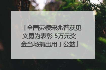 全国劳模宋兆普获见义勇为表彰 5万元奖金当场捐出用于公益