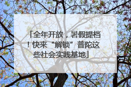 全年开放，暑假提档！快来“解锁”普陀这些社会实践基地