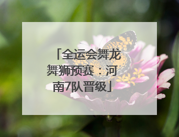 全运会舞龙舞狮预赛：河南7队晋级