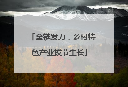 全链发力，乡村特色产业拔节生长