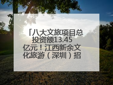 八大文旅项目总投资额13.45亿元！江西新余文化旅游（深圳）招商推介会举行