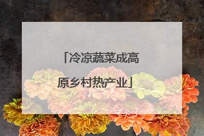 冷凉蔬菜成高原乡村热产业