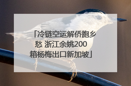 冷链空运解侨胞乡愁 浙江余姚200箱杨梅出口新加坡