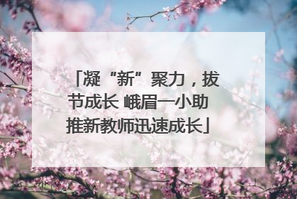 凝“新”聚力，拔节成长 峨眉一小助推新教师迅速成长