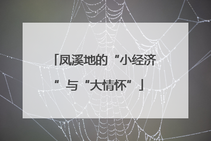 凤溪地的“小经济”与“大情怀”