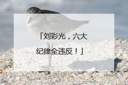 刘彩光，六大纪律全违反！