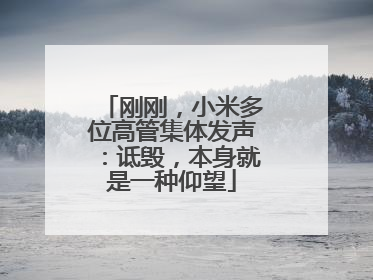 刚刚，小米多位高管集体发声：诋毁，本身就是一种仰望