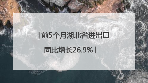 前5个月湖北省进出口同比增长26.9%