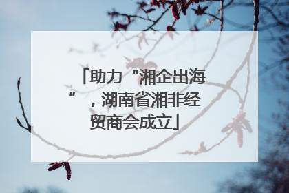 助力“湘企出海”，湖南省湘非经贸商会成立