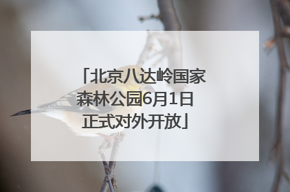 北京八达岭国家森林公园6月1日正式对外开放