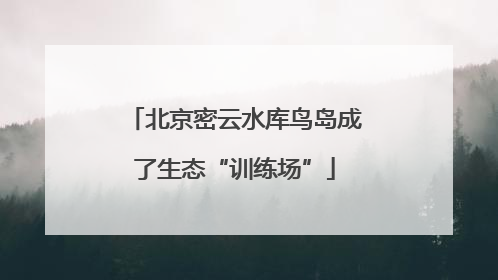 北京密云水库鸟岛成了生态“训练场”