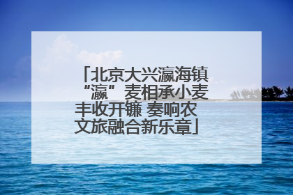 北京大兴瀛海镇“瀛”麦相承小麦丰收开镰 奏响农文旅融合新乐章