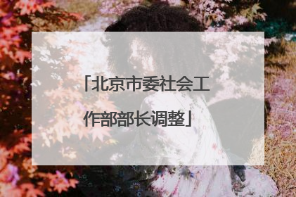北京市委社会工作部部长调整