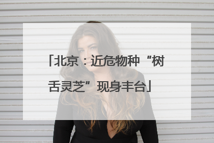 北京：近危物种“树舌灵芝”现身丰台
