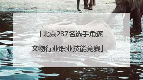 北京237名选手角逐文物行业职业技能竞赛