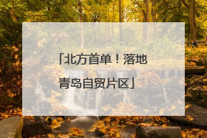 北方首单！落地青岛自贸片区