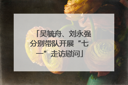 吴毓舟、刘永强分别带队开展“七一”走访慰问