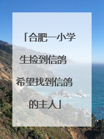 合肥一小学生捡到信鸽 希望找到信鸽的主人