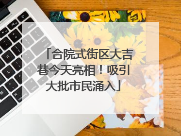 合院式街区大吉巷今天亮相！吸引大批市民涌入