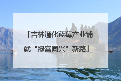 吉林通化蓝莓产业铺就“绿富同兴”新路
