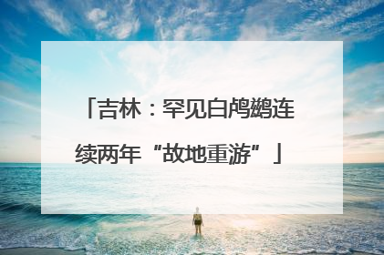 吉林：罕见白鸬鹚连续两年“故地重游”