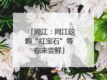 同江：同江这颗“红宝石”等你来尝鲜
