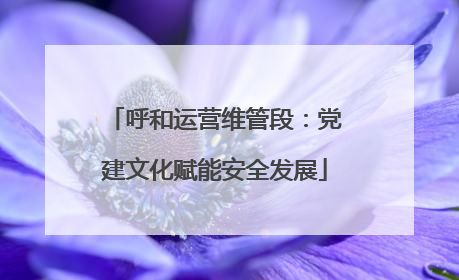 呼和运营维管段：党建文化赋能安全发展